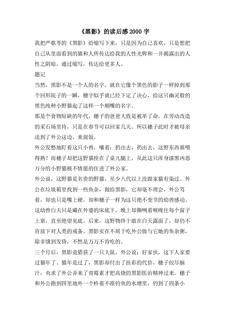 《黑影》的读后感2000字