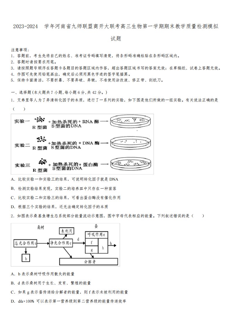 2023-2024学年河南省九师联盟商开大联考高三生物第一学期期末教学质量检测模拟试题含解析