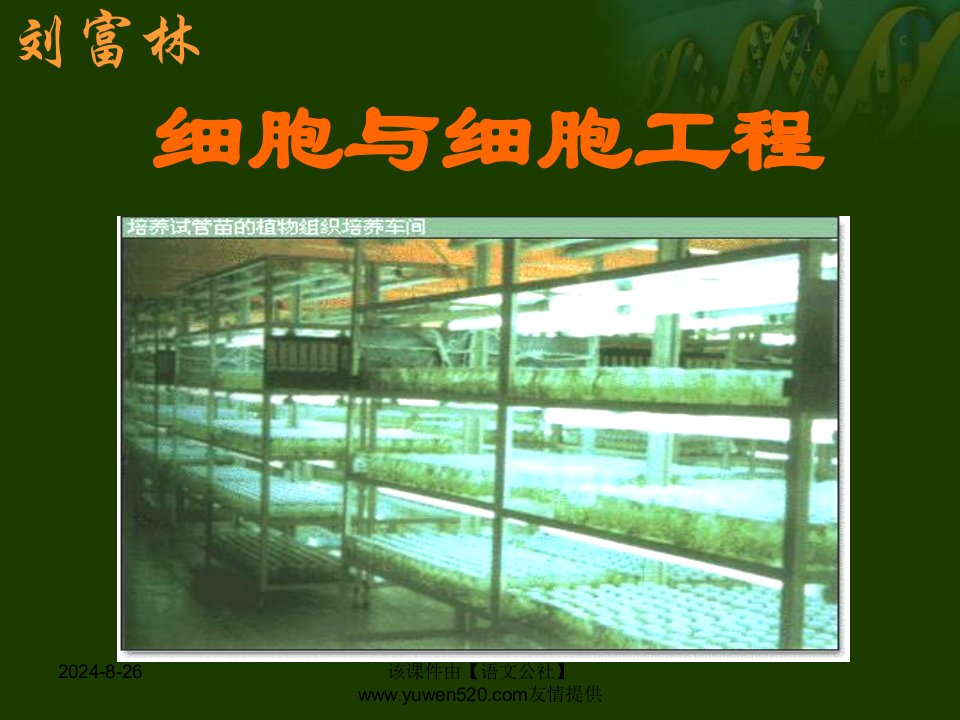 生物选修复习第一轮课件细胞与细胞工程