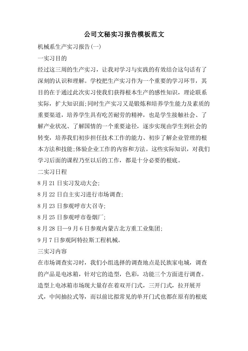 公司文秘实习报告模板范文