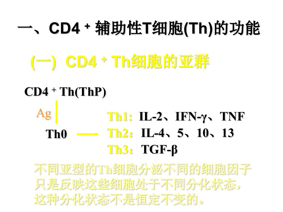 5T淋巴细胞