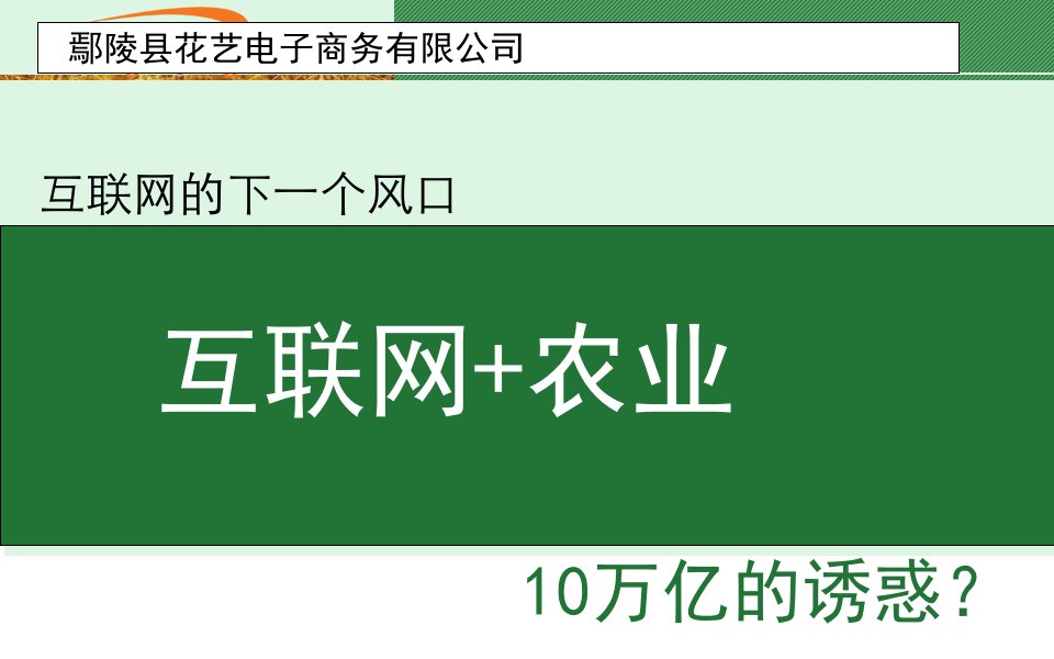 鄢陵县农村电商培训课件乔帮主