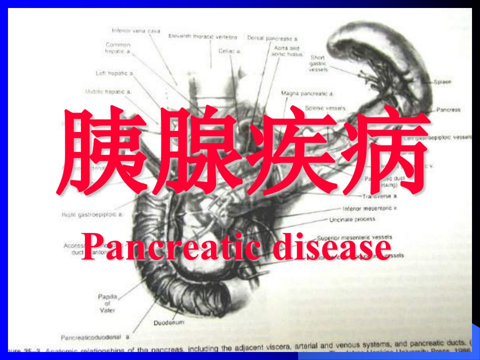 胰腺疾病