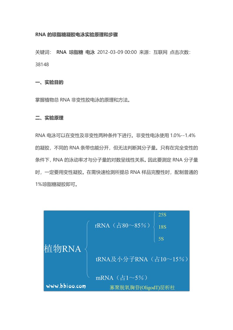 RNA的琼脂糖凝胶电泳实验原理和步骤