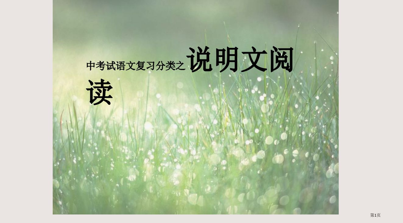 中考试语文复习分类之说明文的阅读省公开课一等奖全国示范课微课金奖PPT课件