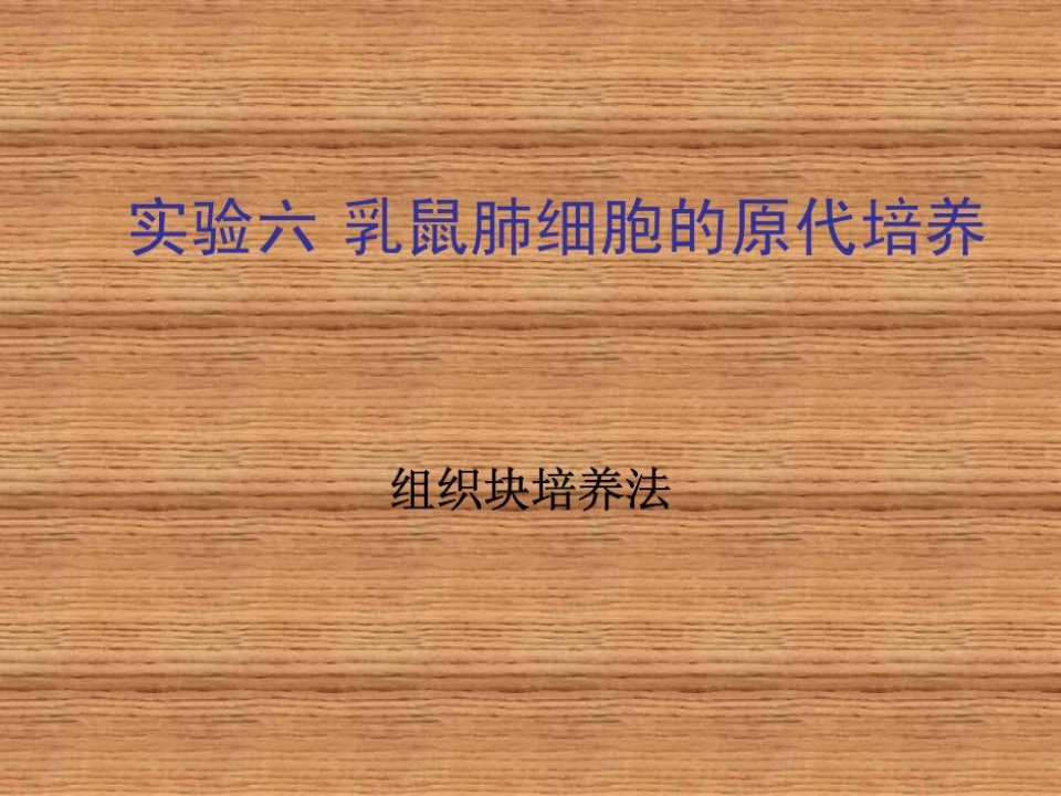 细胞培养技术实验6乳鼠肺细胞的原代培养