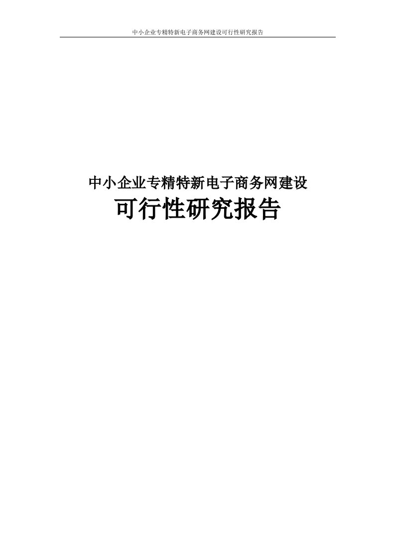 中小企业专精特新电子商务网建设可行性研究报告