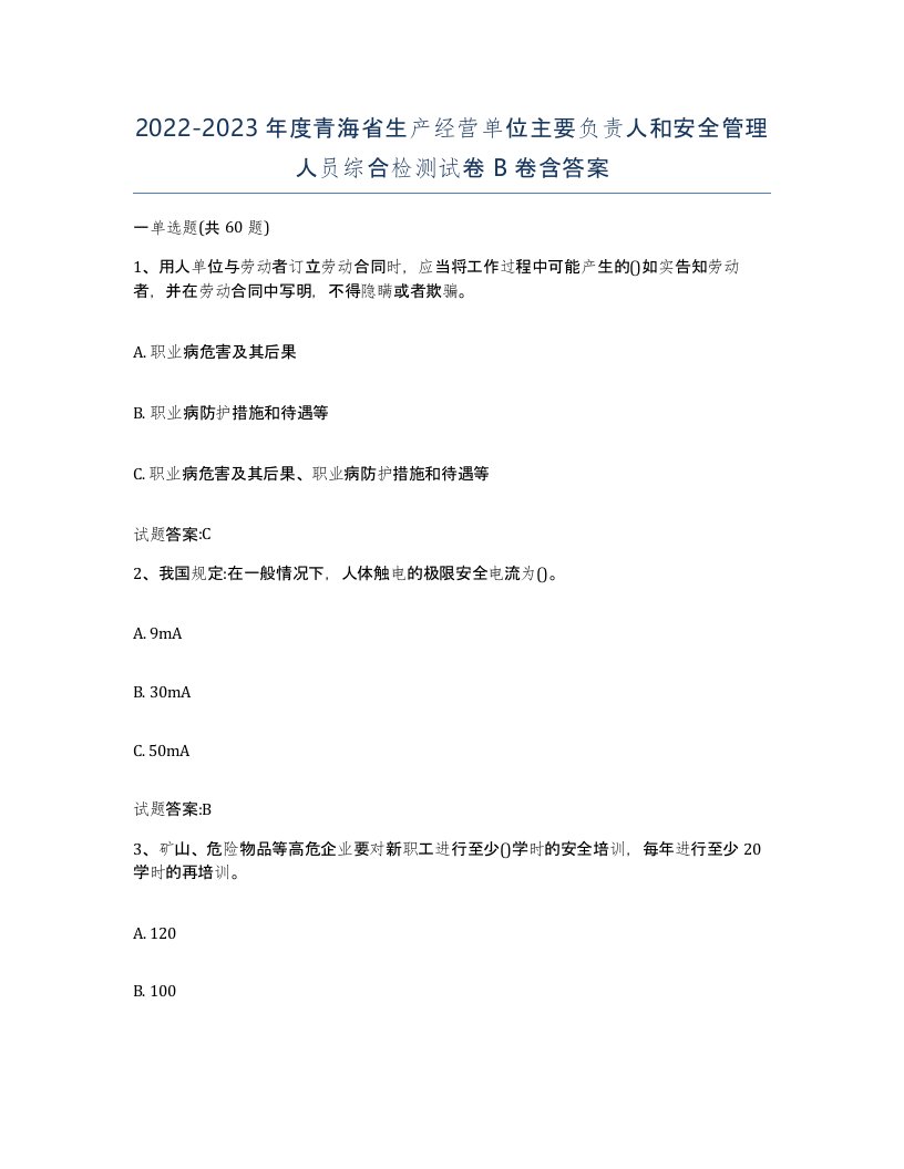 20222023年度青海省生产经营单位主要负责人和安全管理人员综合检测试卷B卷含答案