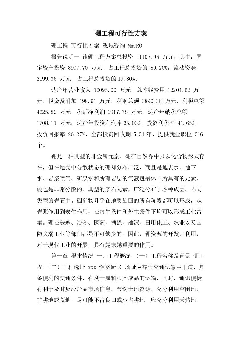 硼项目可行性方案