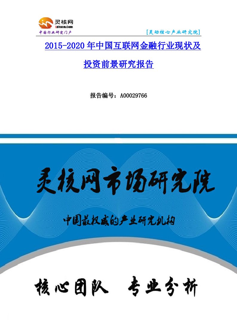 中国互联网金融行业市场分析和发展趋势研究报告-灵核网