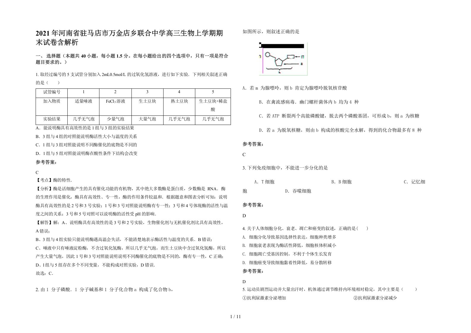 2021年河南省驻马店市万金店乡联合中学高三生物上学期期末试卷含解析