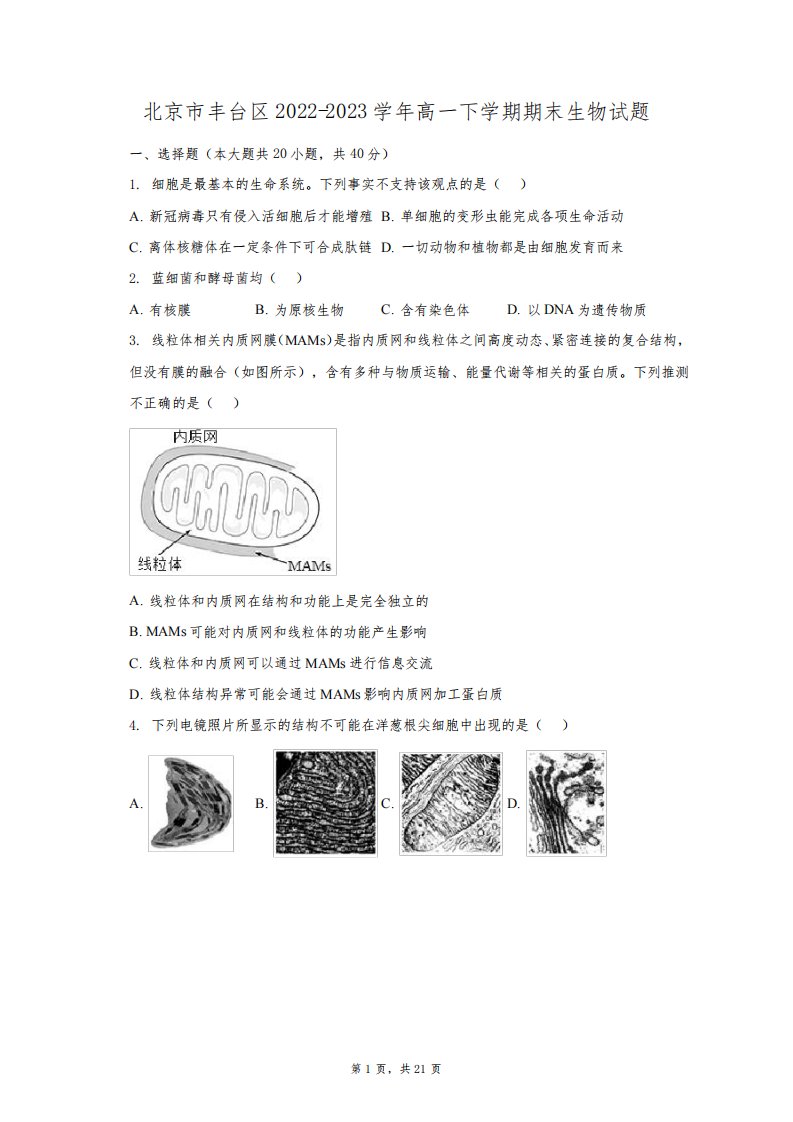 北京市丰台区2022-2023学年高一下学期期末生物试题(含解析)