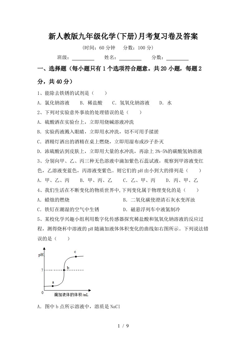 新人教版九年级化学下册月考复习卷及答案