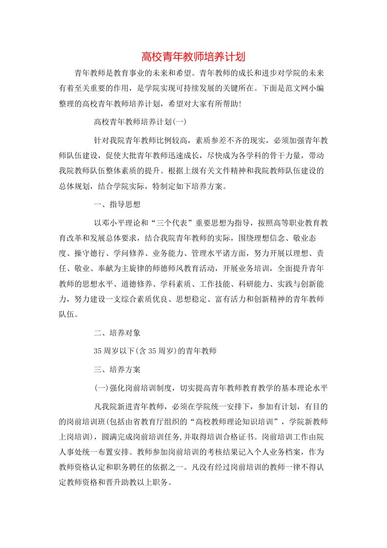 高校青年教师培养计划