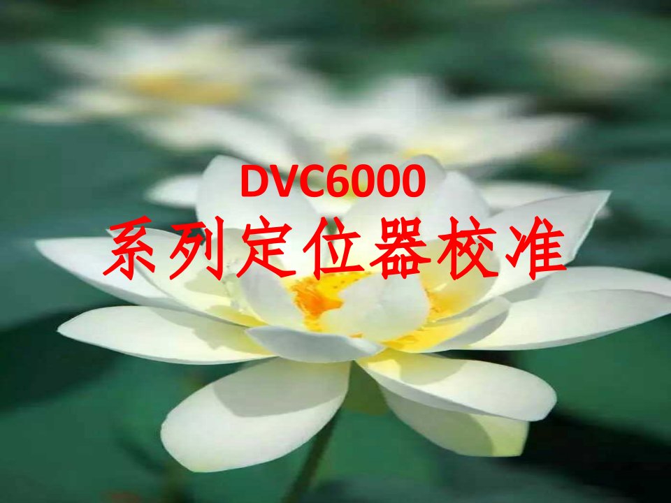 DVC6000系列定位器475手操器调试ppt课件