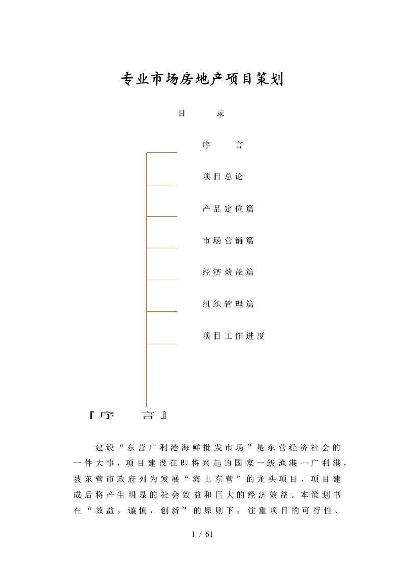 专业市场房地产项目策划