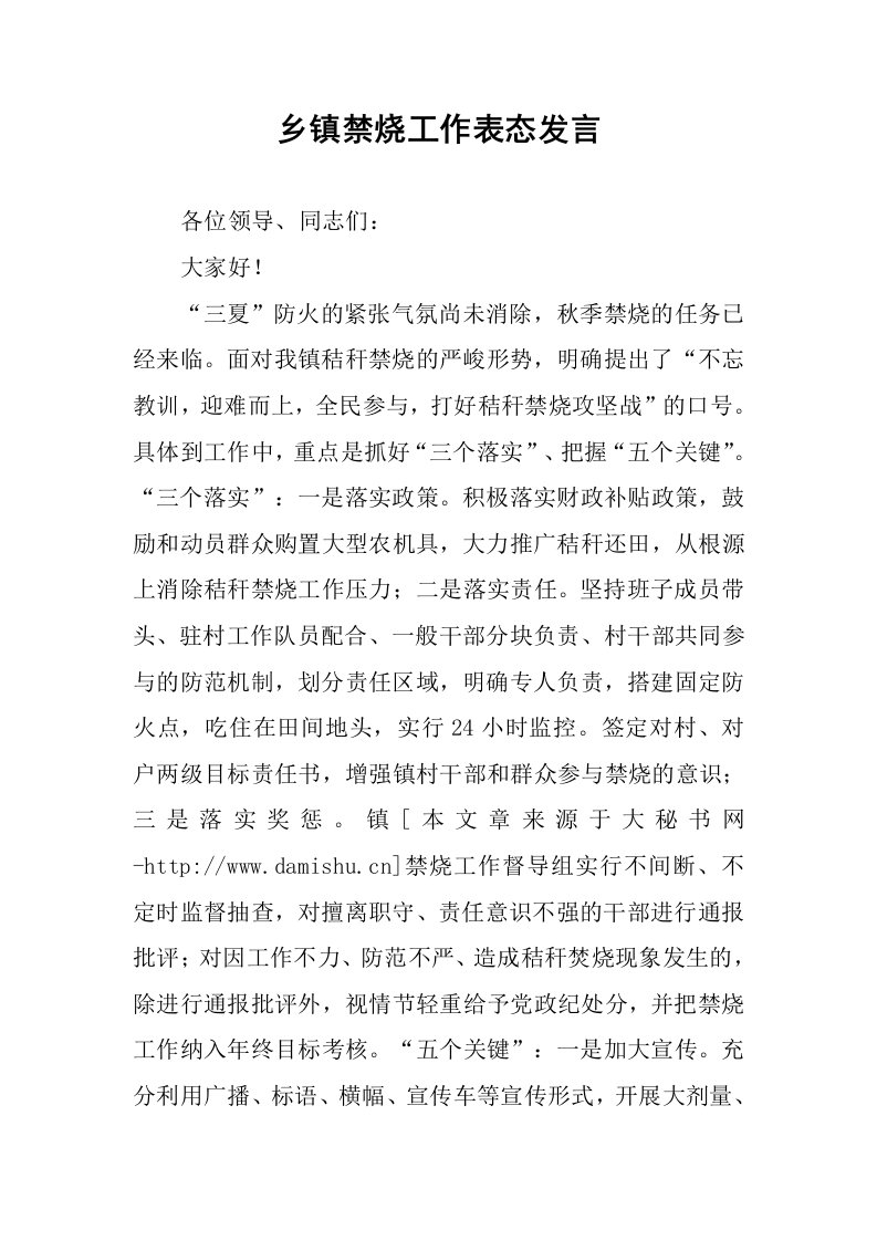 乡镇禁烧工作表态发言.docx