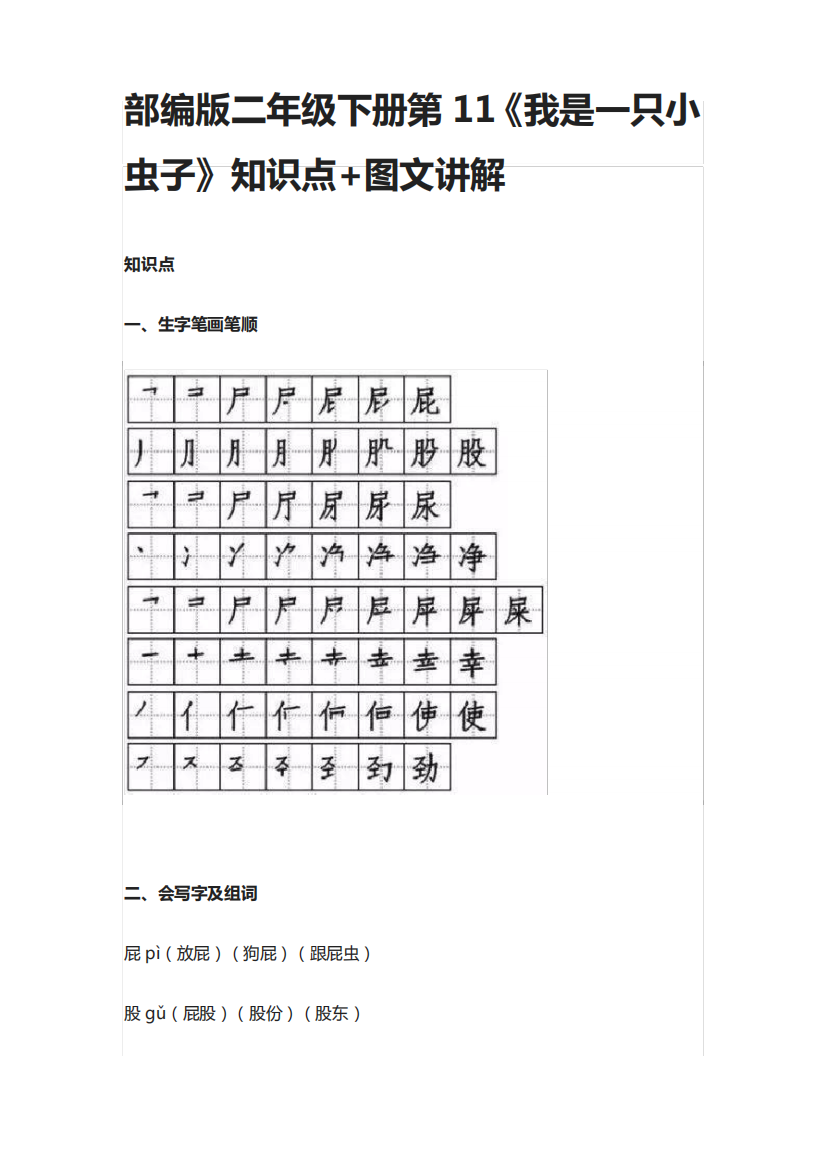 部编版二年级语文下册第11《我是一只小虫子》知识点+图文讲解