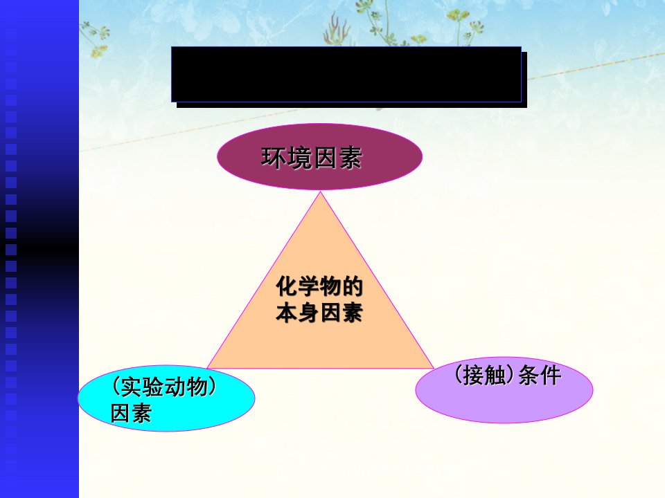 第四节化学物质毒性的影响因素