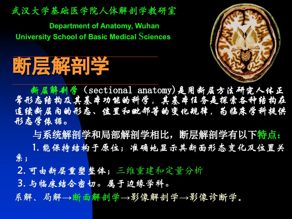 医学]断层解剖学课件1断层--头部