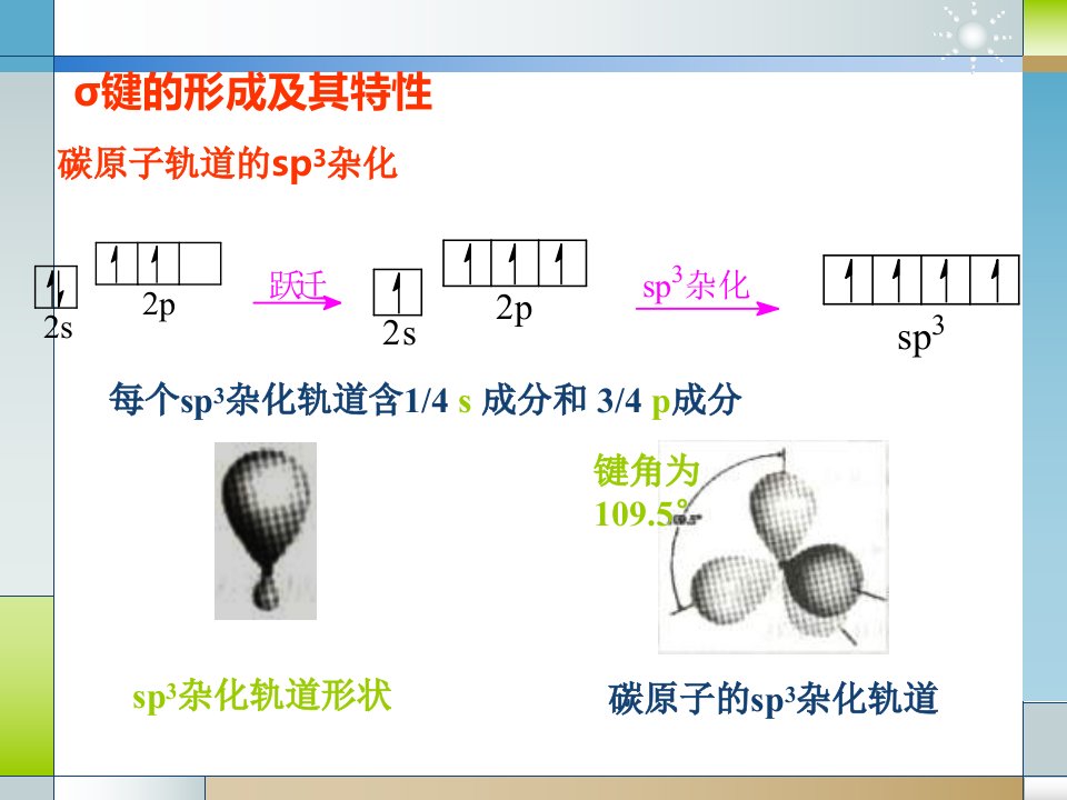 烷烃环烷烃的构象