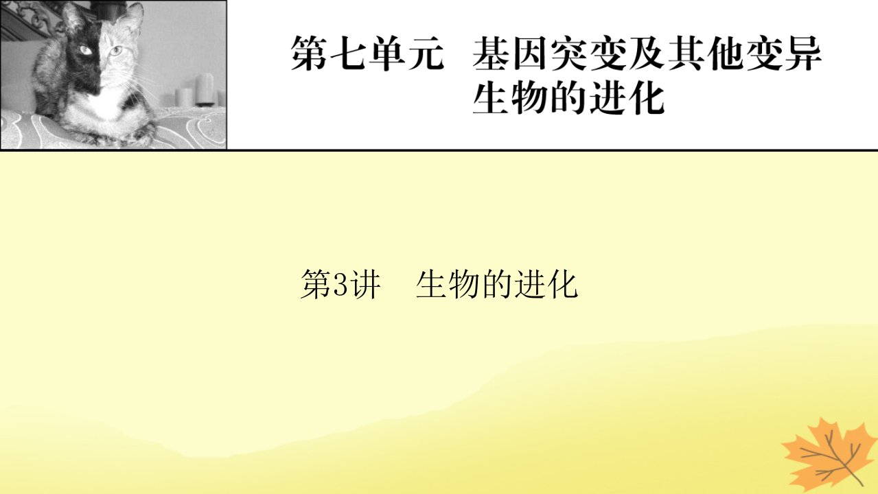 2023版高考生物一轮总复习第7单元基因突变及其他变异生物的进化第3讲生物的进化课件