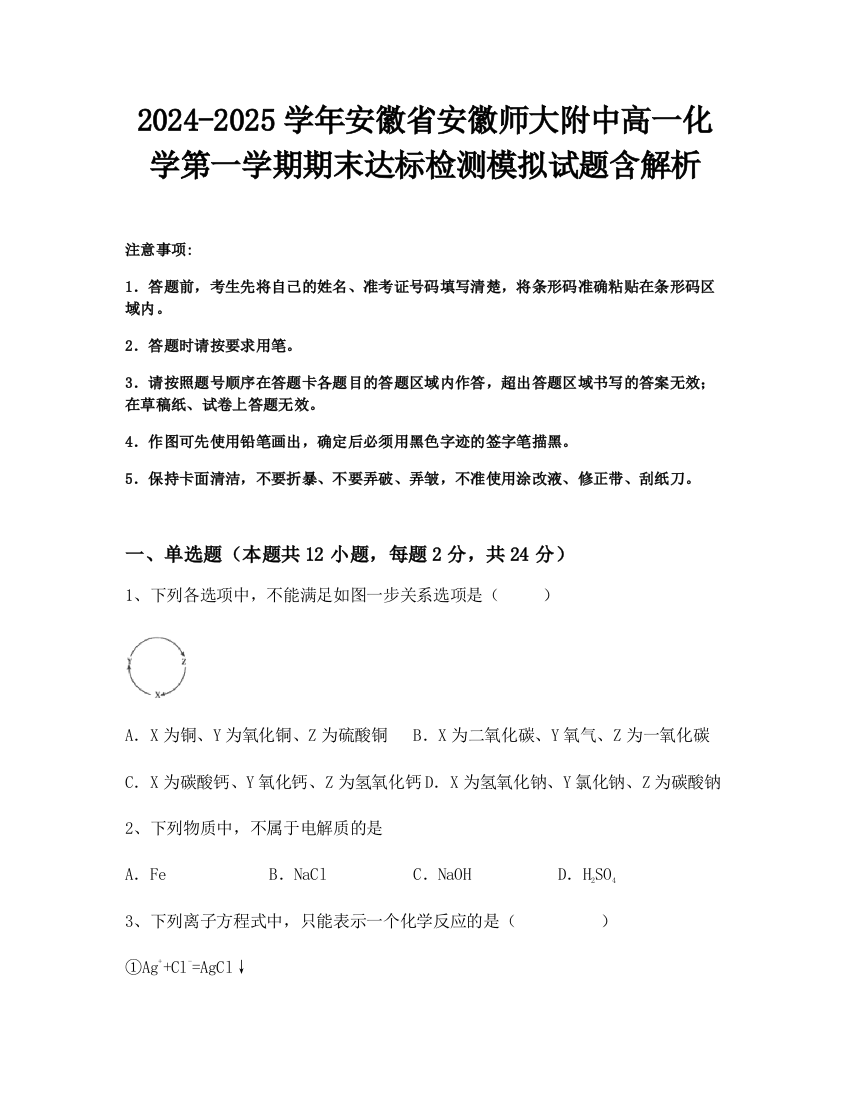 2024-2025学年安徽省安徽师大附中高一化学第一学期期末达标检测模拟试题含解析