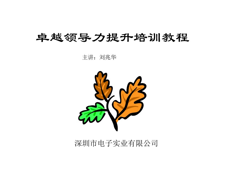 卓越领导力提升培训教程1(1)