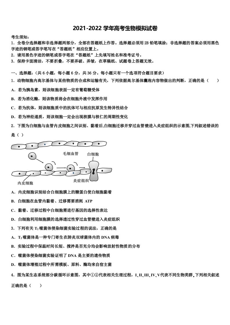 云南省玉溪市第二中学2021-2022学年高三第四次模拟考试生物试卷含解析