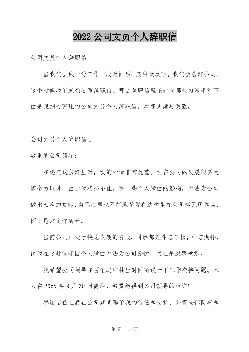 2022公司文员个人辞职信_1