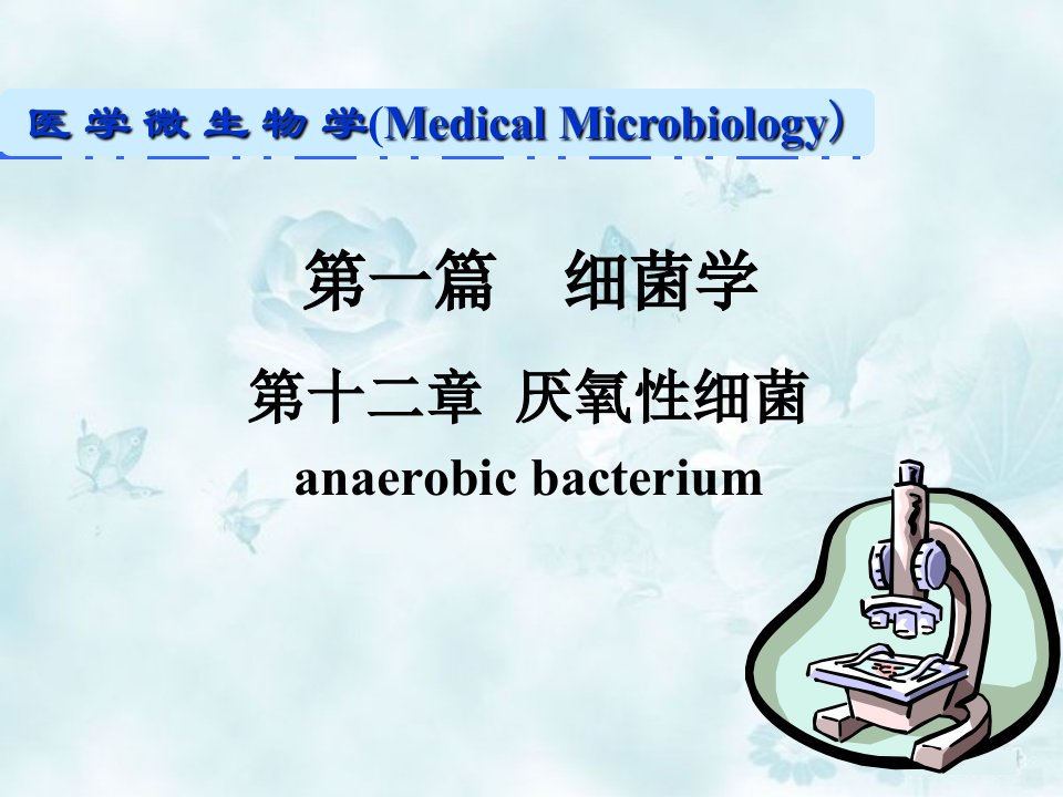 厌氧性细菌