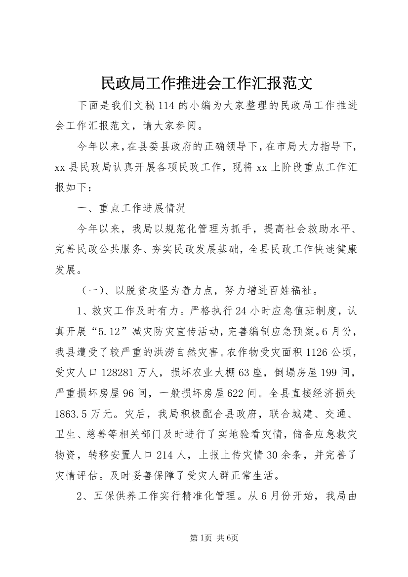 民政局工作推进会工作汇报范文