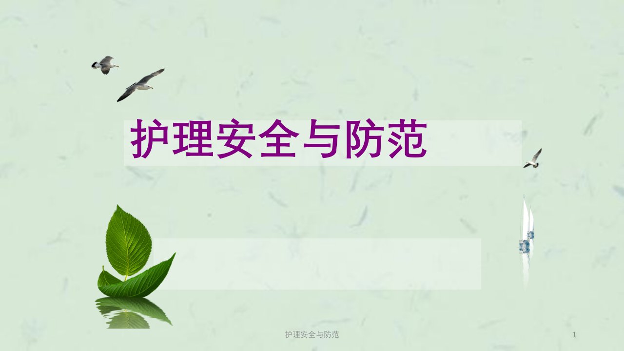 护理安全与防范ppt课件