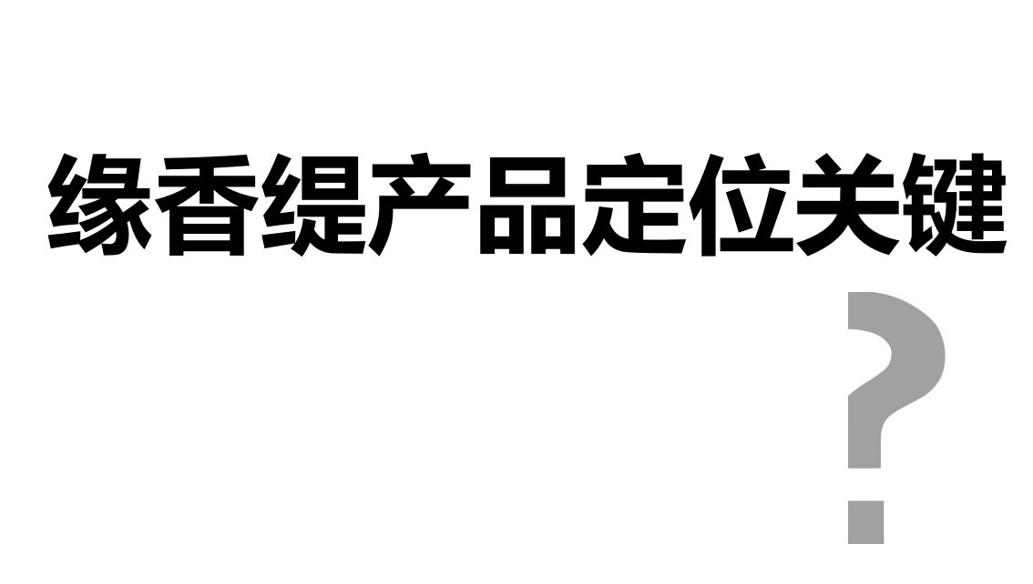 渝北回兴地块整体策划定位报告