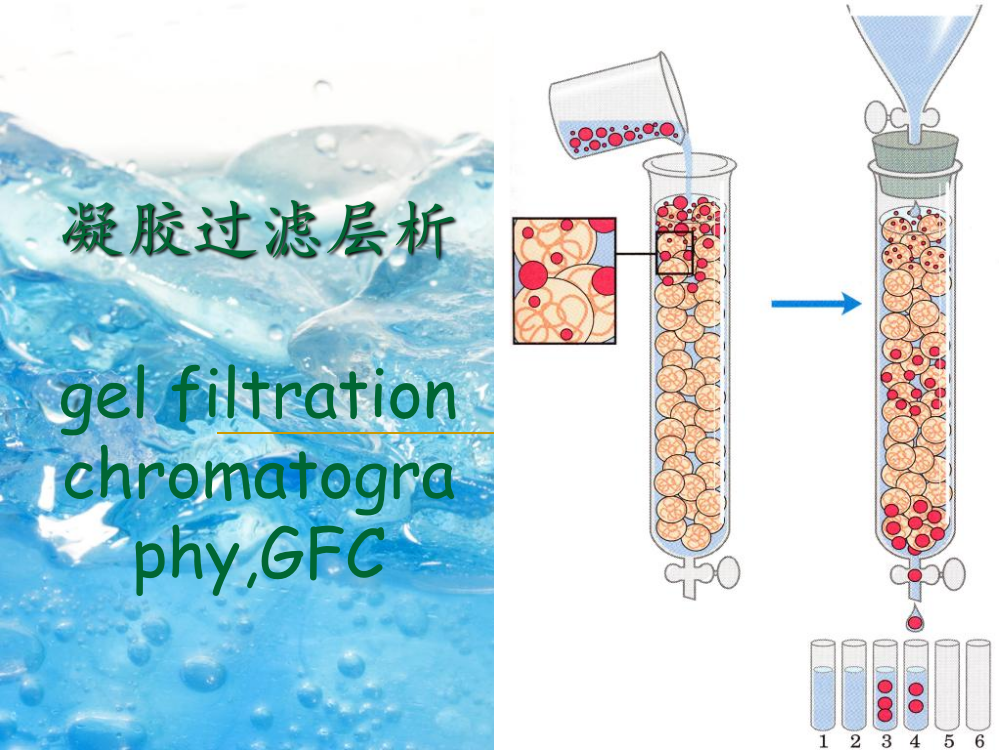 凝胶过滤层析ppt课件