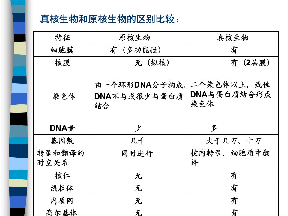 真核生物和原核生物的区别比较