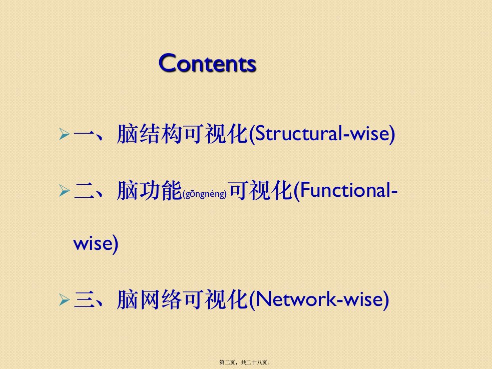 医学专题脑结构脑功能与脑网络的可视化