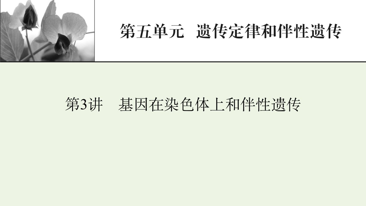 2022届高考生物一轮复习第5单元遗传定律和伴性遗传第3讲基因在染色体上和伴性遗传课件新人教版