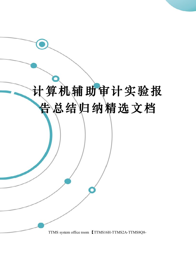 计算机辅助审计实验报告总结归纳精选文档