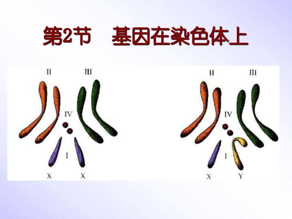 第2节基因在染色体上名师编辑PPT课件