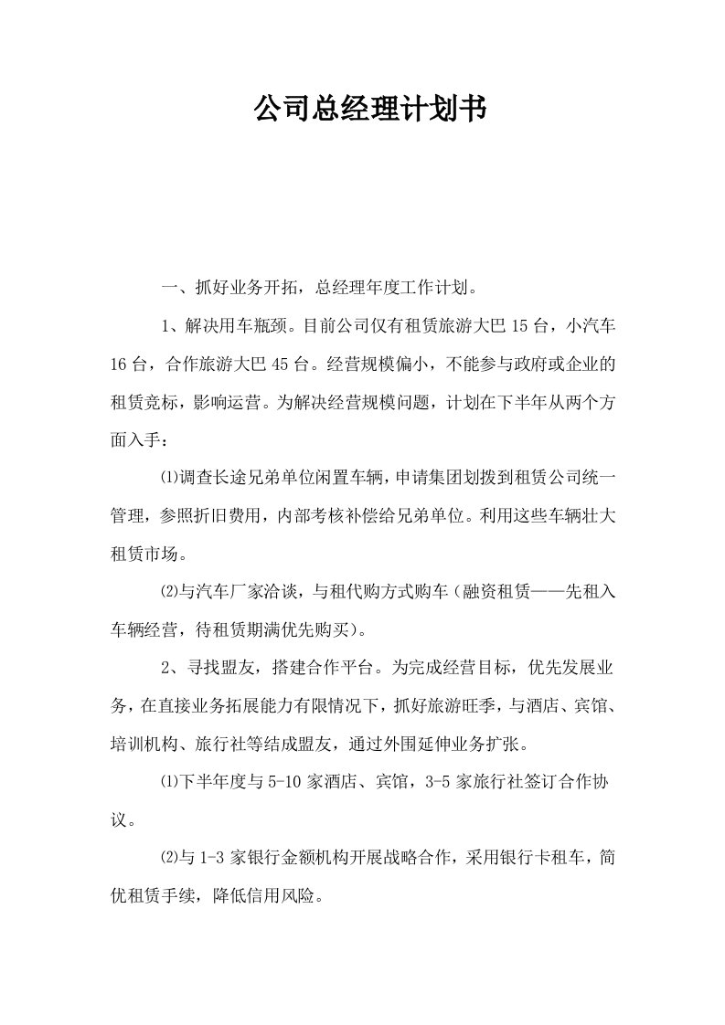 公司总经理计划书