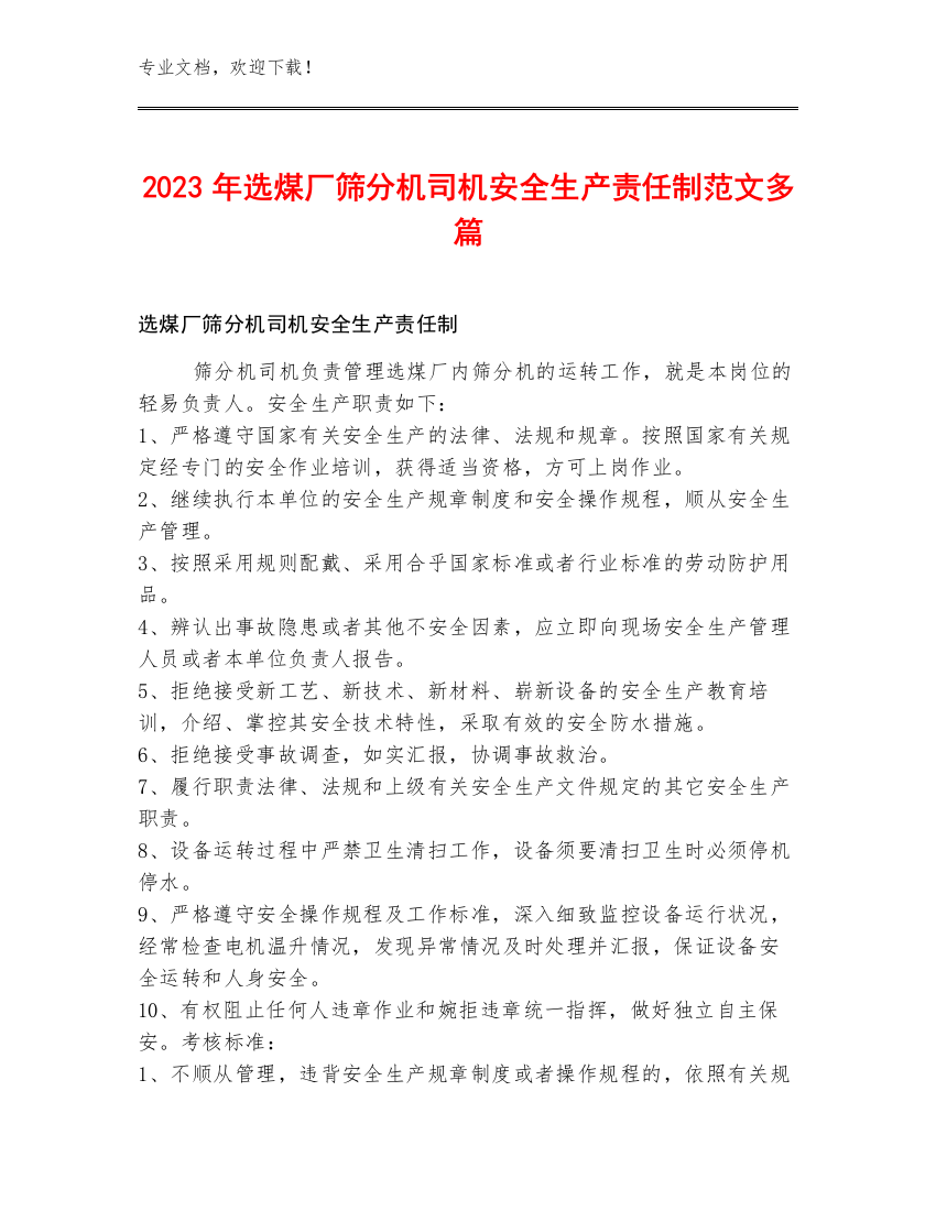 2023年选煤厂筛分机司机安全生产责任制范文多篇