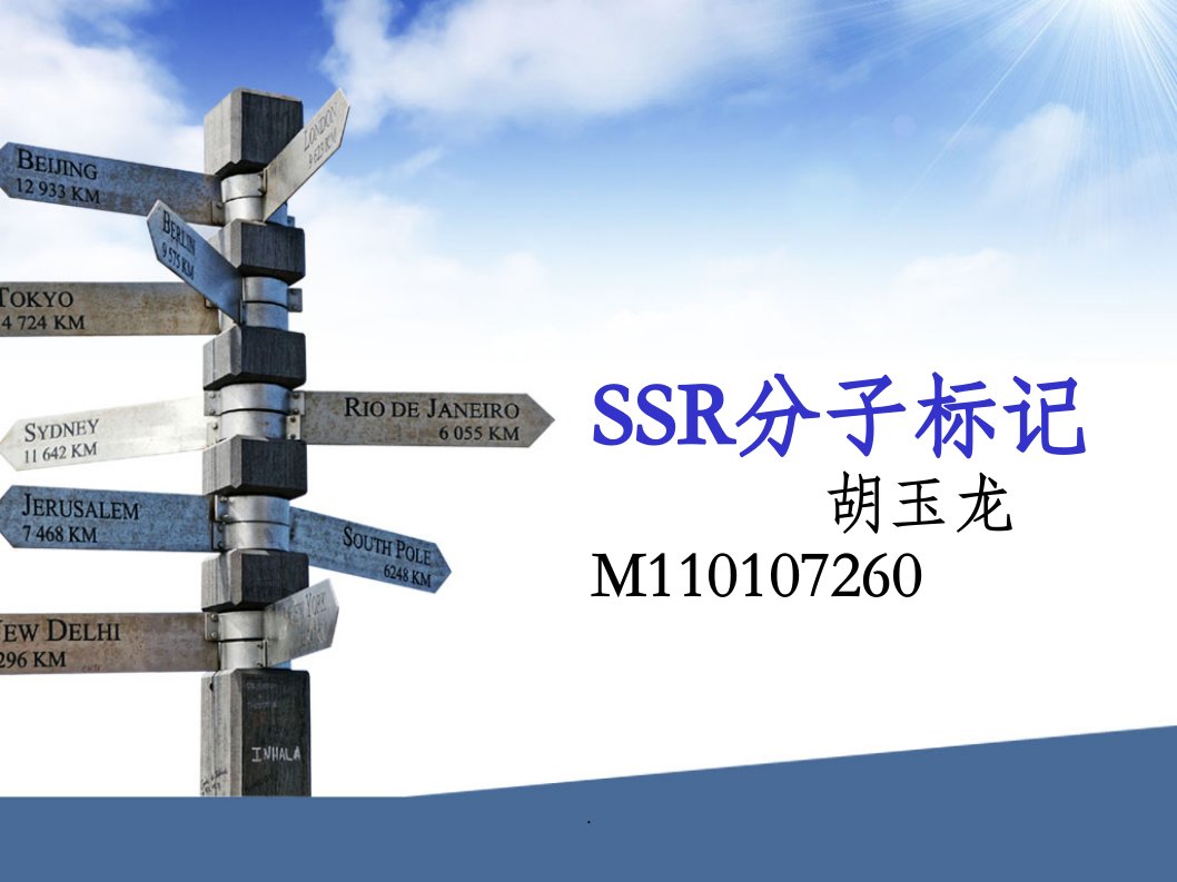 ssr分子标记.ppt课件