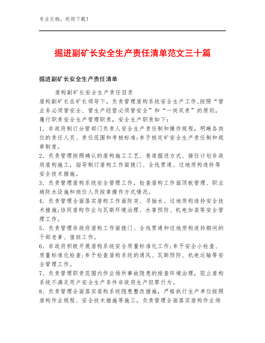 掘进副矿长安全生产责任清单范文三十篇