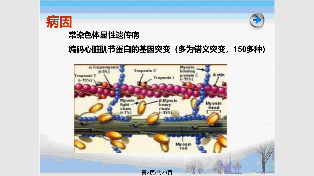 肥厚性心肌病解读