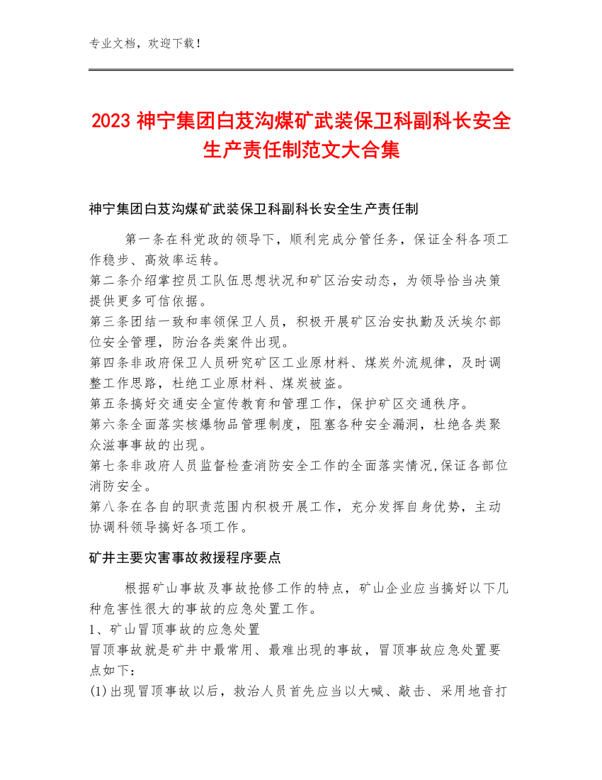 2023神宁集团白芨沟煤矿武装保卫科副科长安全生产责任制范文大合集