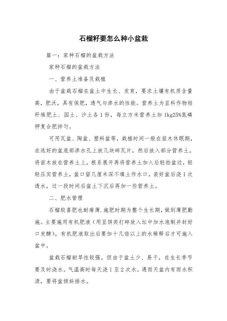 石榴籽要怎么种小盆栽