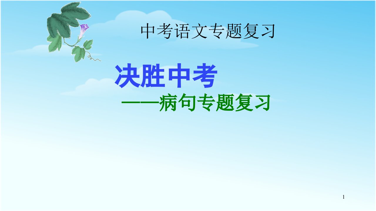 九年级中考语文总复习病句专题复习优质-ppt课件