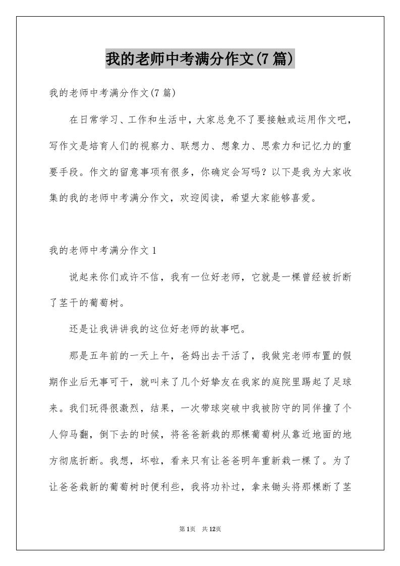 我的老师中考满分作文7篇