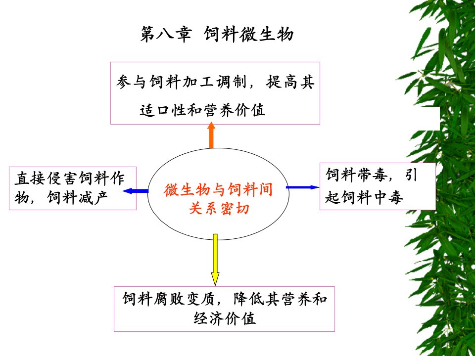 微生物第八章饲料微生物ppt课件